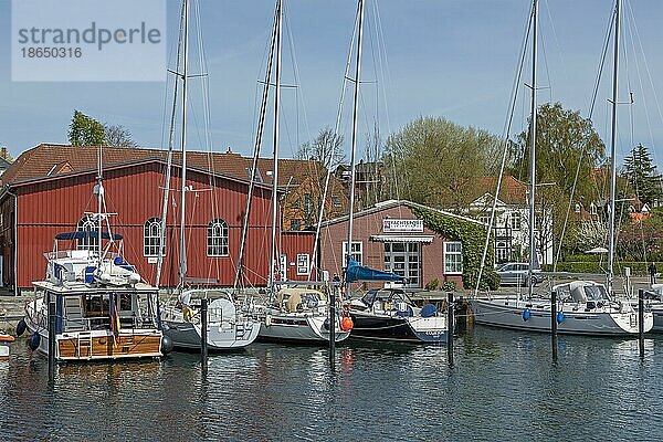 Boote  Hafen  Eckernförde  Schleswig-Holstein  Deutschland  Europa