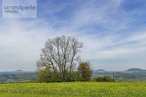 Frühling auf der Kuchalb  Ausblick auf die Landschaft  Feldkreuz  die Drei Kaiserberge Hohenstaufen  Rechberg und Stuifen sind Zeugenberge der Schwäbischen Alb  Donzdorf  Baden-Württemberg  Deutschland  Europa