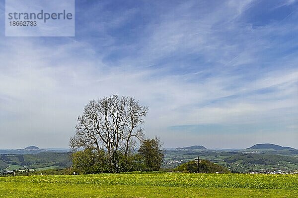 Frühling auf der Kuchalb  Ausblick auf die Landschaft  Feldkreuz  die Drei Kaiserberge Hohenstaufen  Rechberg und Stuifen sind Zeugenberge der Schwäbischen Alb  Donzdorf  Baden-Württemberg  Deutschland  Europa