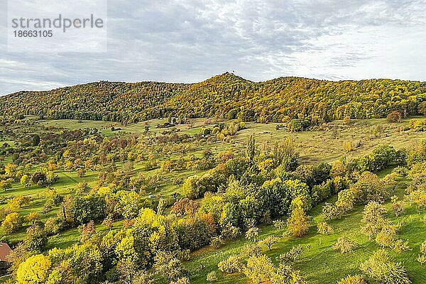 Landschaft im Herbst  Ausblick auf die Burg Teck  davor Streuobstwiesen an den Hängen der Schwäbischen Alb  Bissingen an der Teck  Baden-Württemberg  Deutschland  Europa