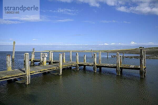 Alter Hafen bei De Cocksdorp  Wattenmeer  Insel Texel  Nordsee  Nordholland  Niederlande  Europa