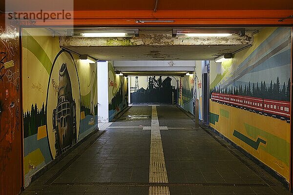 Bemalte Tunnelwände mit Motiven aus dem Ruhrgebiet  Unterführung am Bahnhof Hörde  Dortmund  Ruhrgebiet  Nordrhein-Westfalen  Deutschland  Europa