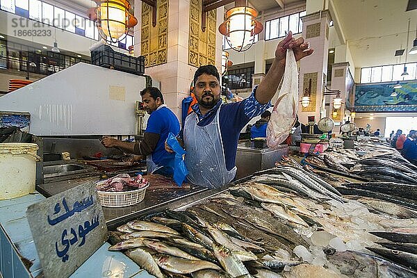 Einheimischer Fischer zeigt seinen Fisch  Fischmarkt  Kuwait Stadt  Kuwait  Asien