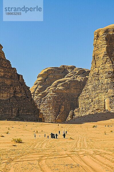 Beduinen mit Kamelen in der Wüste  Wadi Rum  Jordanien  Asien