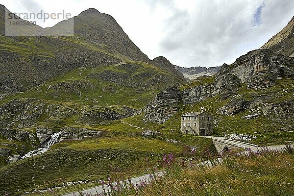 Pied Montet  Alpenpass Col de l'Iseran  Alpes-de-Haute-Provence  Frankreich  Europa