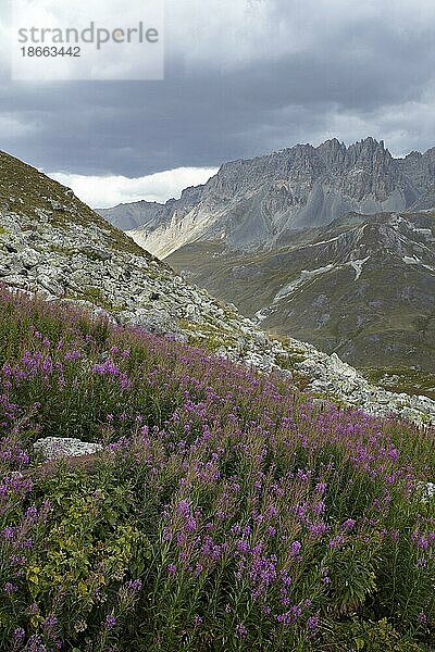 Col du Galibier  Route des Grandes Alpes  französische Alpen  Frankreich  Europa