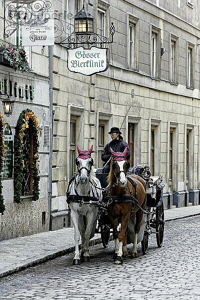 Fiaker  Pferdekutsche als Touristenattraktion  Stadtansicht Wien  Österreich  Europa