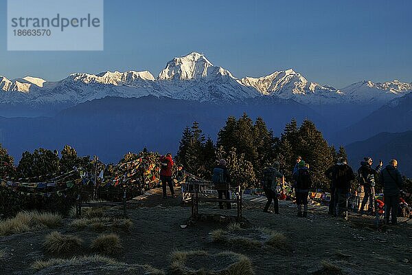 Dhaulagiri vom Poon Hill (3210 m) aus gesehen bei Sonnenaufgang. Der Achttausender liegt 38 km Luftlinie entfernt  und die Talsohle des Kali Gandaki  die den Riesen Dhaulagiri vom Aussichtspunkt trennt  befindet sich auf einer Höhe von etwa 1250 m ü.d.M. tief unten. Der Berg ist ein fantastischer Aussichtspunkt und der Höhepunkt der relativ kurzen und einfachen Himalaya Wanderung im Annapurna Schutzgebiet und zieht in der Trekkingsaison jeden Morgen zahlreiche Wanderer an  wie man auf dieser Seite sehen kann