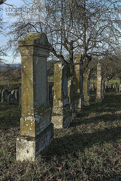 Historischer Judenfriedhof  diese Begräbnisstätte wurde von 1737 bis 1934 belegt  Hagenbach  Oberfranken  Bayern  Deutschland  Europa