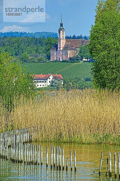 Ausblick vom Bodensee zur Wallfahrtskirche Birnau  Barockkirche  Uhldingen-Mühlhofen  Baden-Württemberg  Deutschland  Europa