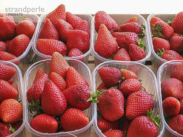 Erdbeeren in der Obstkiste