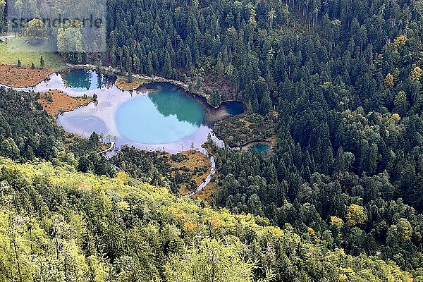 Falkensee im Naturschutzgebiet gesehen vom Falkenstein bei Inzell  Chiemgauer Alpen  Bayern  Deutschland  Europa