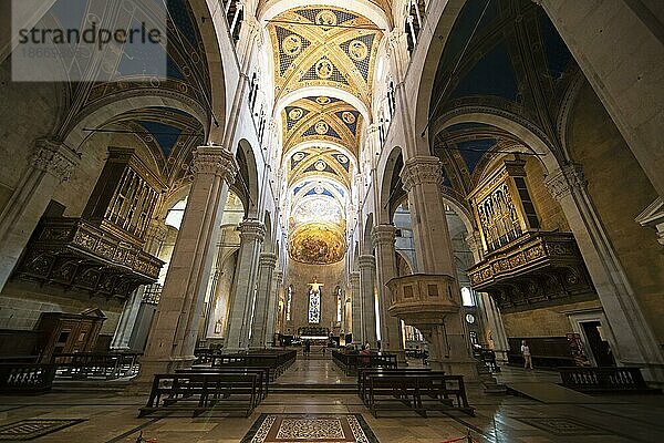 Kathedrale San Martino  Innenaufnahme  Lucca  Toskana  Italien  Europa