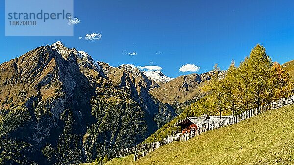 Blick von der Lackneralm zum vergletscherten Großvenediger  Nationalpark Hohe Tauern  Osttirol  Österreich  Europa
