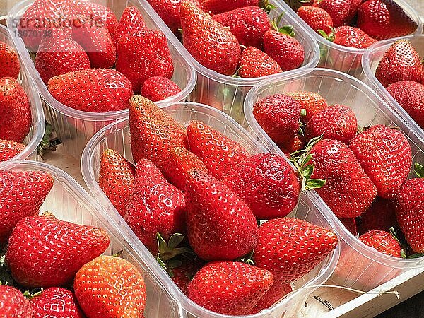 Erdbeeren in der Obstkiste