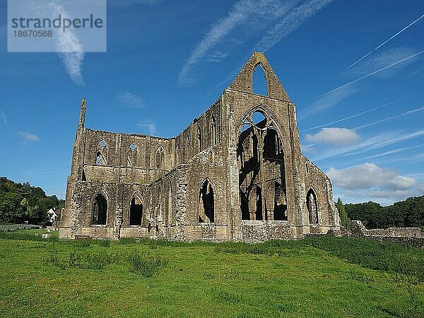 Tintern Abbey (Abaty Tyndyrn) in Tintern  Großbritannien  Europa