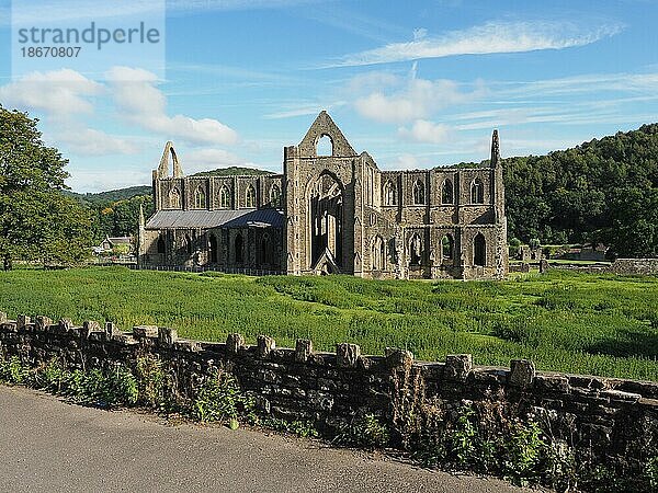 Tintern Abbey (Abaty Tyndyrn) in Tintern  Großbritannien  Europa