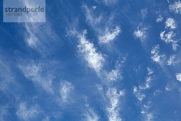 Federwolken am blauen Himmel  formatfüllend  England  Großbritannien  Europa