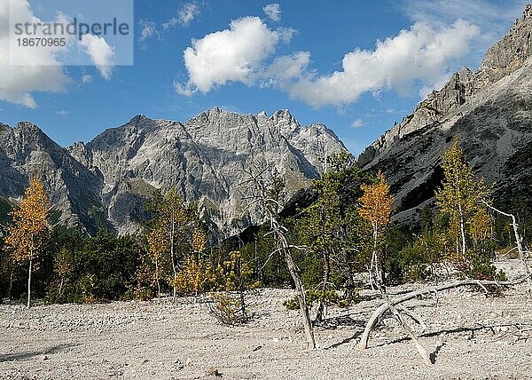 Herbst im Wimbachgries mit Blick auf den Hochkalter  Nationalpark Berchtesgaden  Bayern  Deutschland  Europa