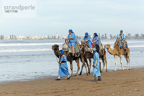 Touristen reiten auf Kamelen am Strand  gekleidet in blaue Beduinengewänder  Essaouira  Marokko  Nordafrika  Afrika