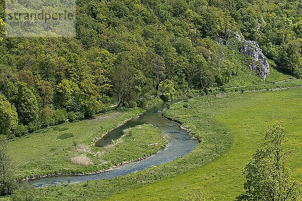 Eselsburger Tal mit Fluss Brenz  Brenztal  Schwäbische Alb  Baden-Württemberg  Deutschland  Europa