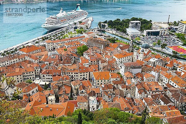 Ausblick über die Dächer der Altstadt  Kotor  Bucht von Kotor  Kreuzfahrtschiff  Montenegro  Europa