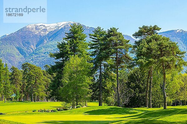 Golfplatz mit Bäumen und schneebedecktem Berg in Ascona  Schweiz  Europa