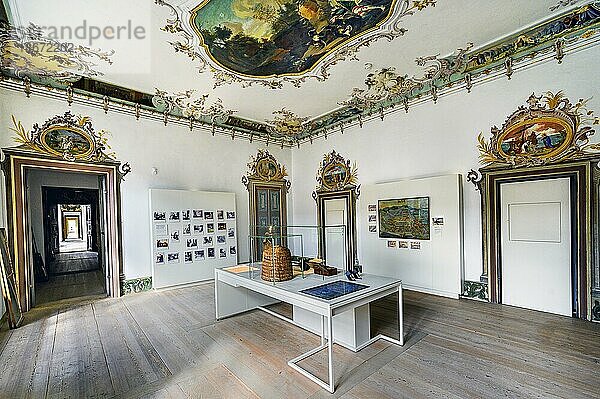 Raum mit Fresken und Bienenkorb  Kloster Ottobeuren  Benediktinerabtei  Allgäu  Bayern  Deutschland  Europa