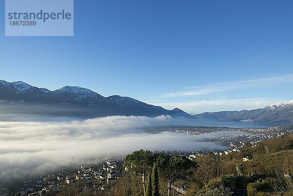 Nebel  Locarno  Schweiz  Europa