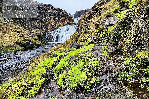 Neonmoos am Wasserfall Selvallafoss am Selvallavatn  Snaefellsnes  Vesturland  Island  Europa