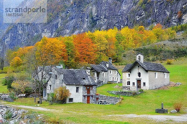 Alpendorf Faedo  Valle Maggia im Herbst  Tessin  Schweiz  Europa