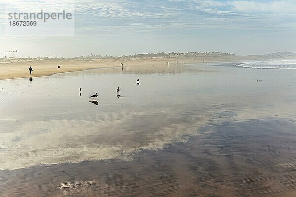 Reflexion der Wolken im nassen Sand am Strand Menschen zu Fuß  Essaouira  Marokko  Nordafrika  Afrika