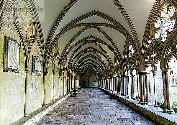 Gewölbedecke des Kreuzgangs der Kathedrale von Salisbury  Wiltshire  England  Großbritannien  Europa