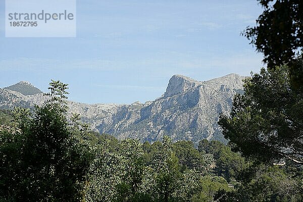 Blick auf das Tramuntana Gebirge  Mallorca  Spanien  Europa