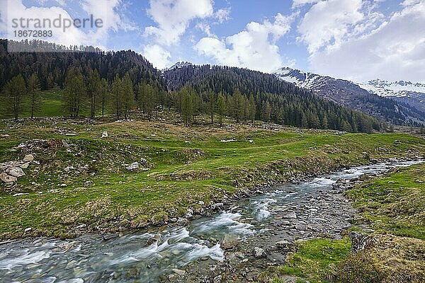 Bachlauf der Ahr im Ahrntal  Kasern  Bozen  Südtirol  Italien  Europa