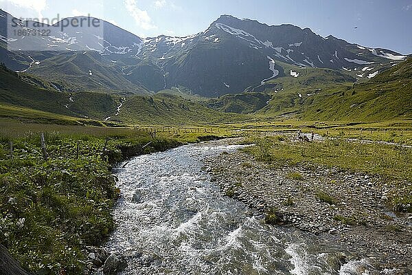 Mallnitzbach im Mallnitzer Tauerntal  Nationalpark Hohe Tauern  Kärnten  Österreich  Europa