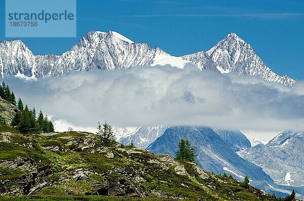 Schneebedeckte Berge  Wallis  Schweiz  Europa