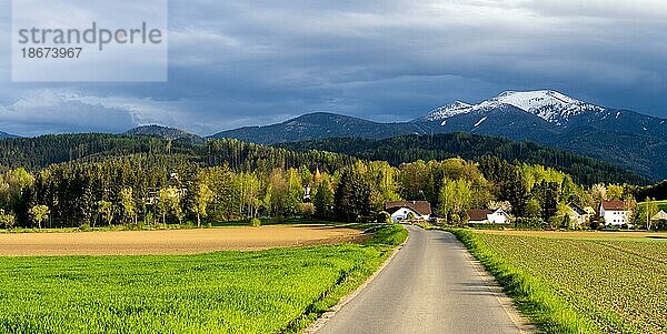 Straße zur Schlossruine Thann  hinten Gipfel von Größing und Amering  bei Großlobming  Steiermark  Österreich  Europa