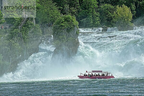 Rheinfall bei Schaffhausen  Wasserfall mit Ausflugsschiff  Laufen-Uhwiesen am Rheinfall  Kanton Zürich  Schweiz  Europa