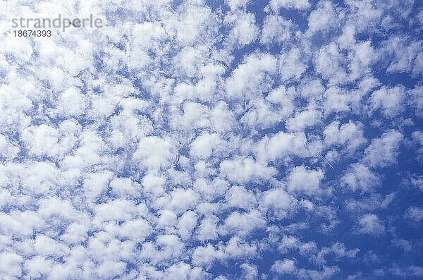 Hintergrund aus einer Wolkenformation von Schäfchenwolken am Sommerhimmel
