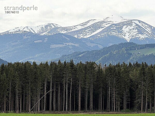 Schneebedeckte Alpengipfel  Seckauer Alpen  bei Großlobming  Steiermark  Österreich  Europa