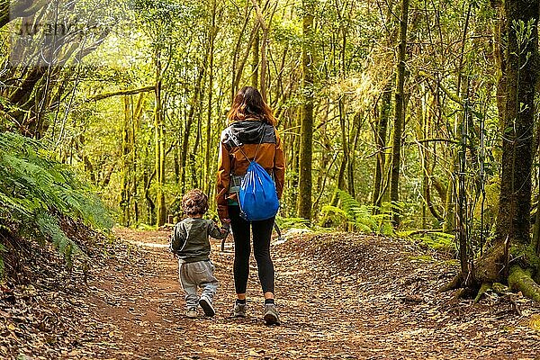 Mutter und Sohn wandern durch Las Creces auf dem Pfad im moosbewachsenen Wald des Garajonay Nationalparks  La Gomera  Kanarische Inseln