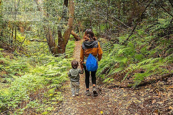 Mutter und Sohn wandern durch Las Creces auf dem Pfad im moosbewachsenen Wald des Garajonay Nationalparks  La Gomera  Kanarische Inseln