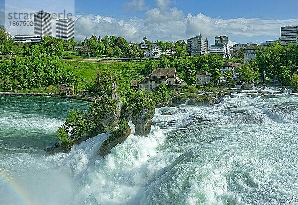 Rheinfall bei Schaffhausen  Wasserfall  Neuhausen am Rheinfall  Kanton Schaffhausen  Schweiz  Europa