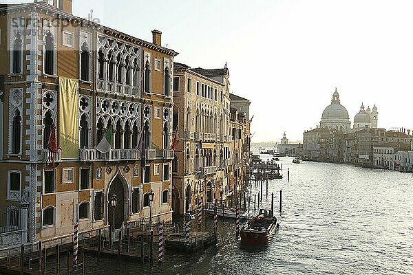 Morgenstimmung am Canal Grande  Venedig  Veneto  Italien  Europa