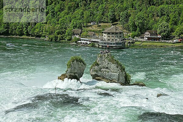 Rheinfall bei Schaffhausen  Wasserfall mit Schlössli Wörth  Neuhausen am Rheinfall  Kanton Schaffhausen  Schweiz  Europa
