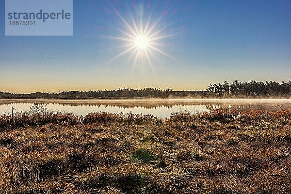 Sonne mit Sonnenstrahlen über einem See bei einem Moor in einer schönen Landschaft im Herbst