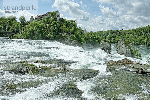 Rheinfall bei Schaffhausen  Wasserfall mit Schloss Laufen  Laufen-Uhwiesen am Rheinfall  Kanton Zürich  Schweiz  Europa