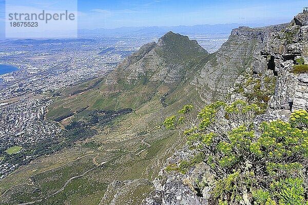 Blick auf Kapstadt vom Gipfel des Tafelbergs  Südafrika