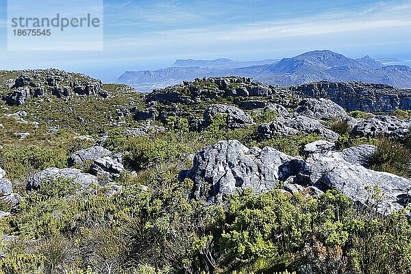 Felsformation  Gipfel des Tafelbergs  Kapstadt  Südafrika